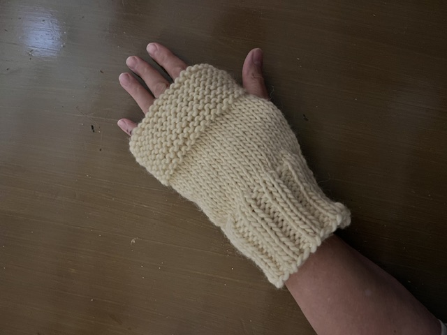 Knitting Class Mitten